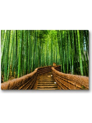 Tablo 70X100 cm Bambu Ormanı Kanvas Tablo Büyük Boy Dekoratif Duvar Tablosu Japon Bahçesi Doğa Manzara Tablosu