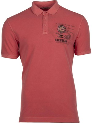 Ar-ma Erkek Polo Yaka Tişört Yazi Baskili Regular Fit Çift Toplama Penye Pike Y9TYO7337
