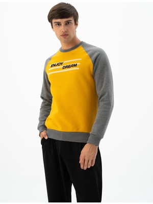 Ar-ma Erkek Bisiklet Yaka Sweatshirt Yazi Baskili Cepsiz Regular Fit Şardonlu Üç İplik K24124908701