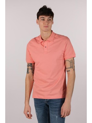 Ar-ma Erkek Polo Yaka Tişört Baskisiz Basic Regular Fit Tek Toplama Licrali Pike Y22374303201