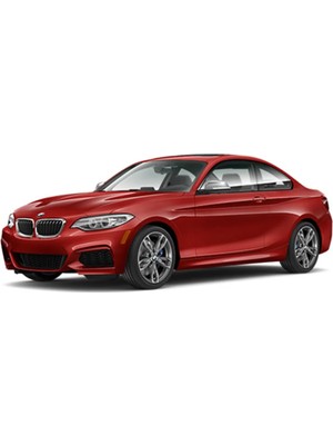 Gian Fabio Falleri Lacasa Bmw 2-F22-EXTRIM(2014 ve Sonrası)Uyumlu Kapitoneli-Suni Deri-Silikon Topukluklu Premium Deri Paspas