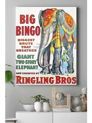 Murahze (PSTER15358) Big Bingo Kanvas Tablo 30 x 40