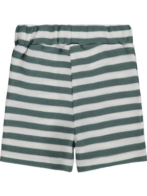 Civil Baby Çizgili 6-18 Ay Şort - Yeşil