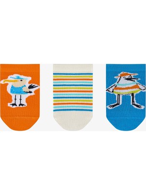 Penti Erkek Çocuk Stripey Seagull 3'lü Patik Çorap