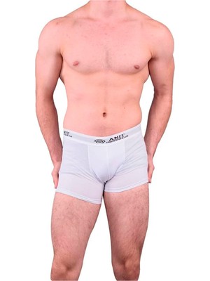Anıt Erkek Penye Lcykralı Boxer 4 Adet 1115-GRI
