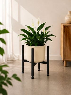 bL CONCEPT Dekoratif Metal Saksı Sehpası 20 cm Siyah Ayarlı Ayaklı Modern Tasarım