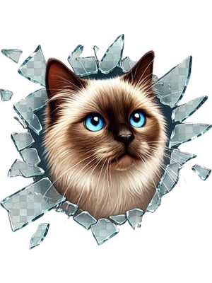 Ttt Fulcar Siamesse Araç Stickerı