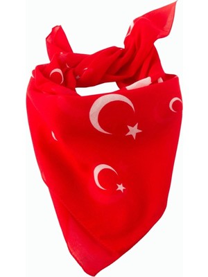 AyrStore Buğz Ay Yıldız Desenli Bandana 50*50