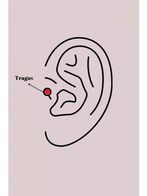 MiraLive 316L Çelik Gümüş Renk Kare Zirkon Taşlı Tragus Piercing - TJ-PR1309