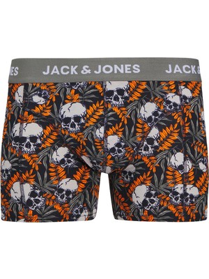 Jack & Jones Hugo Skulls Erkek Boxer (12270808-NS)