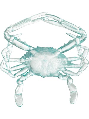 Mudo Home Ocean Crab Biblo 16X17X3 cm