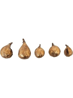 Gndz Store Co-Op Altın Kaplamalı Reçine Incir (5 Parçalı Set)