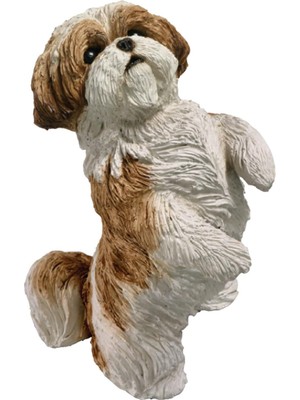 Gndz Store Sandicast Orijinal Boyut Altın ve Beyaz Shih Tzu Heykeli, Güzel Oturan