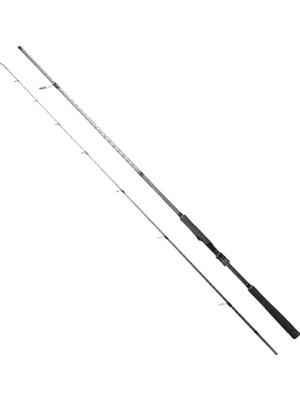 Fishack Iki Parça Spin Olta Kamışı - Ryuji Ares x - 240CM 9/45 gr