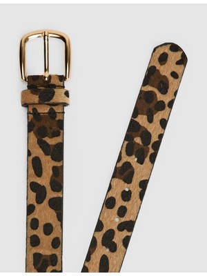 Pierre Cardin Kadın Camel Kemer 50332499-VR015