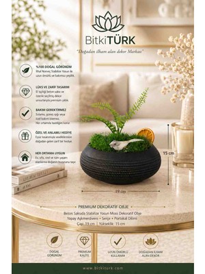 BitkiTÜRK Stabilize Yosunlu Dekoratif Obje Beton Saksı – Masaüstü Ev Ofis Kafe Dekoru, Yapay Aşk Merdivenli Premium Dekor