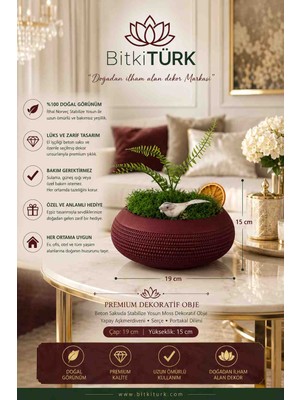 BitkiTÜRK Stabilize Yosunlu Dekoratif Obje Beton Saksı – Masaüstü Ev Ofis Kafe Dekoru, Yapay Aşk Merdivenli Premium Dekor