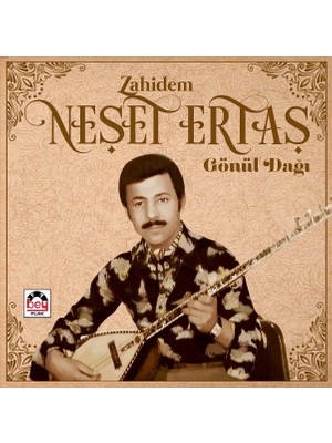 Gereksiz Şeyler Neşet Ertaş Zahidem Gönül Dağı
