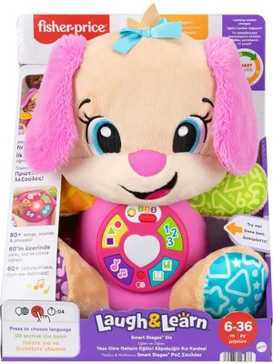 Fisher-Price Fisher Price Eğitici Köpekçiğin Kız Kardeşi FPP83 (3 Adet)