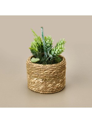 Kpm Natürel Çiçek - Asorti - 15 cm