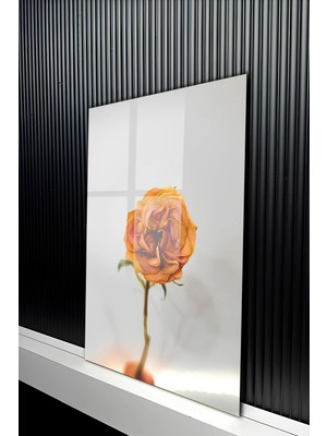 KutuTR Minimalist Turuncu Kurutulmuş Gül Tasarımlı Temperli Cam Tablo 50X70 cm 2d Uv Baskı - YCT263