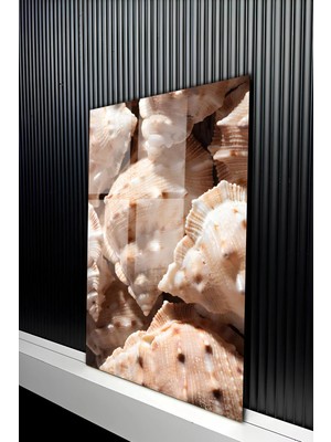 KutuTR Modern Gerçekçi Deniz Kabuğu Desenli Temperli Cam Tablo 50X70 cm 2d Uv Baskı - YCT179