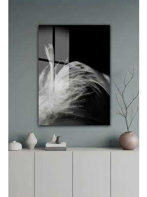 KutuTR Siyah Beyaz Tüy Desenli Modern Temperli Cam Tablo 2d Uv Baskı - YCT637