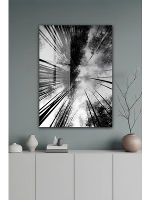 KutuTR Bambu Ormanı Gökyüzü Manzaralı Temperli Cam Tablo 50X70 cm 2d Uv Baskı - YCT115