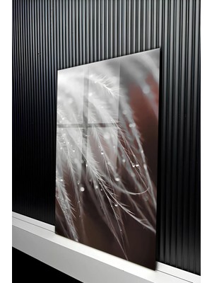KutuTR Makro Detaylı Kuş Tüyü ve Çiy Damlaları Temalı Temperli Cam Tablo 50X70 cm 2d Uv Baskı - YCT193