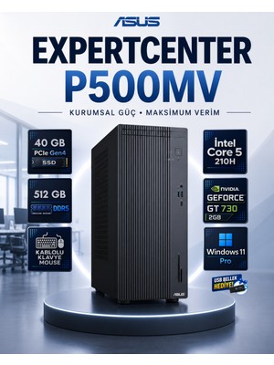 Asus P500MV Intel Core 5 210H 40 GB Ddr5 512 GB SSD Nvidia Geforce Gt 730 Windows 11 Pro Masaüstü Bilgisayar P500MVCORE5GT730RNP17