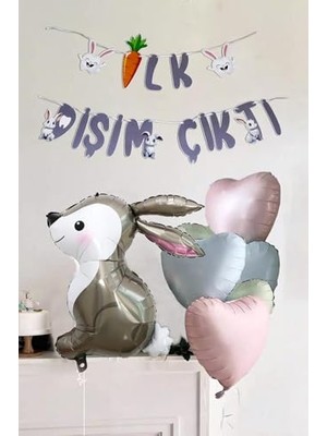 Larskas Ilk Dişim Çıktı Tavşan ve Kalp Balonlu Süsleme Seti Diş Buğdayı Süsleri Bannerlı Paket
