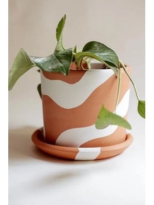 Larskas El Yapımı Terracotta Silindir Saksı + Tabak - Bohem Beyaz (Küçük)