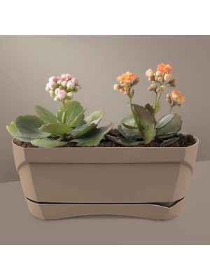 Larskas Modern Balkon Saksı (Kahve, 5 Litre)
