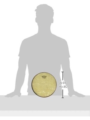 Aesco 10" Djembe Derisi - Yüksek Dayanıklılık ve Ses Kalitesi