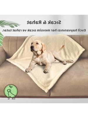Aesco Yıkanabilir Kedi Köpek Battaniyesi, Premium Peluş, Krem Renk, 80X100