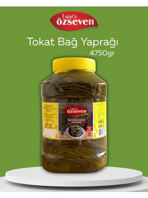 Tokat'lı Özseven Bağ Yaprağı 4750GR