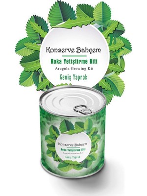 Buffer® Konserve Bahçem Evde Konservede Iri Yapraklı Roka Yetiştirme Kiti