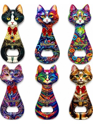 Lavly Kedi Tasarımı Istanbul Temalı Buzdolapı Süsü Magnet ALK5408