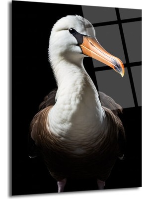 GLAZELLA Albatros Kuşu Portresi Cam Tablo - Denizlerin Asil Zarafeti