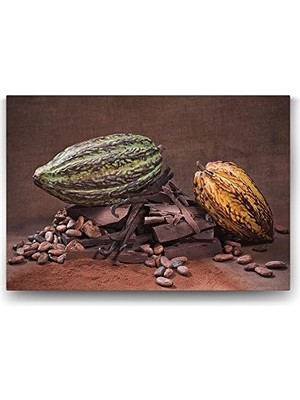 Esplendor Kakao Çekirdeği Tablosu - 90X60CM