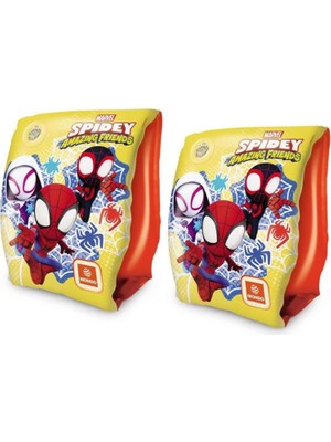 Spidey Kolluk 15X23 cm