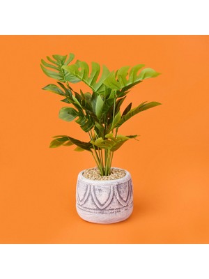 Matmel Beyaz Saksıda Deve Tabanı - Renkli - 13X38 cm
