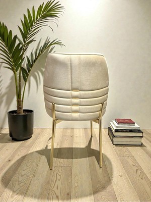 Msy Home 4 Kişilik Monaco Stil Gold Çizgili Yönsüz Kumaş Sandalye Seti