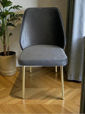 Msy Home 6 Kişilik Milano Gold Serisi Yönsüz Kumaş Modern ve Şık Sandalye Takımı