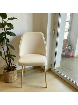 Msy Home 6 Kişilik Nova White Gold Ayaklı Silinebir Kumaş Modern ve Şık Sandalye Takımı