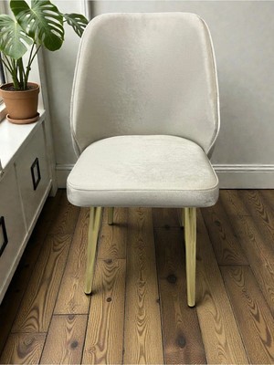 Msy Home 6 Kişilik Gold Ayak Krem Yönsüz Kumaş Modern ve Şık Sandalye Takımı