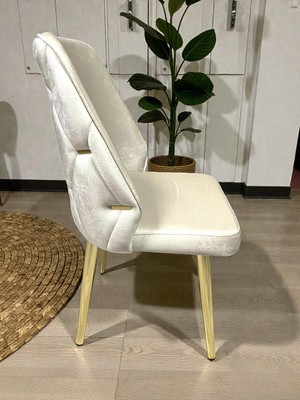Msy Home 2 Kişilik Gold Ayak Krem Yönsüz Kumaş Modern ve Şık Sandalye Takımı