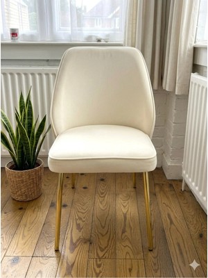 Msy Home 2 Kişilik Monaco Stil Gold Ayaklı Krem Kumaş Modern Sandalye Seti