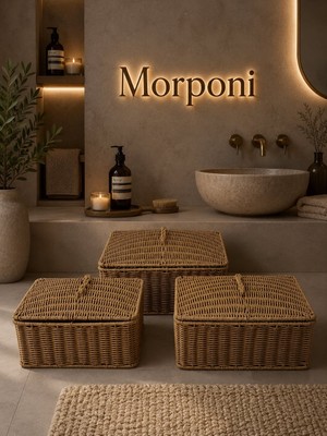 Morponi Lüks Rattan 3'lü Kapaklı Düzenleyici Sepet - Banyo ve Ev Organizer Seti  MRL-105A