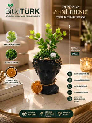 BitkiTÜRK Helen Saksıda Stabilize Yosun ve Yapay Ağaç Dalı Dekoru 30 cm – Premium Masaüstü Ev ve Ofis Dekoru